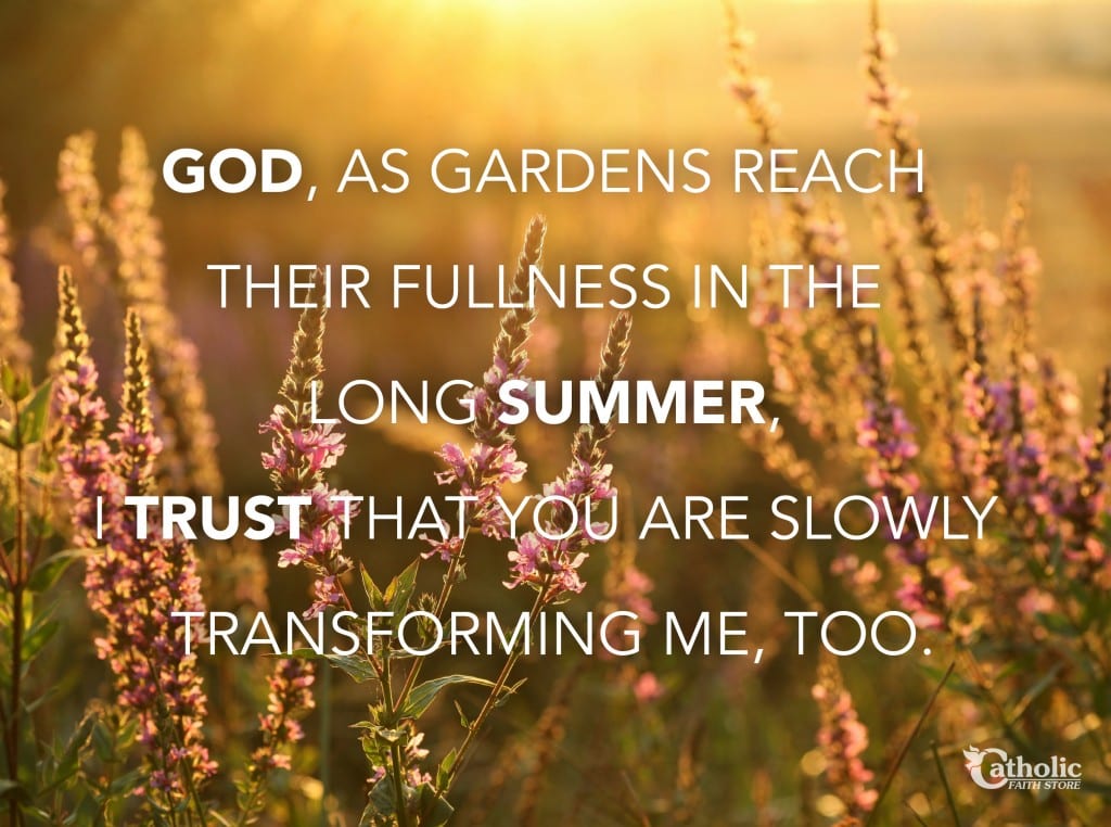 Garden Summer Trust in God