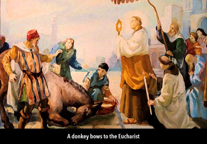 A donkey bows to the Eucharist