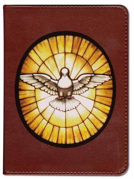 Holy Spirit Bible